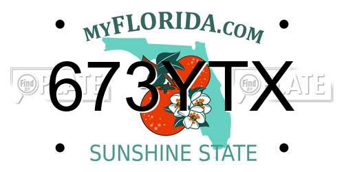 673YTX Florida License Plate