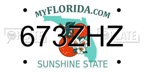 673ZHZ Florida License Plate