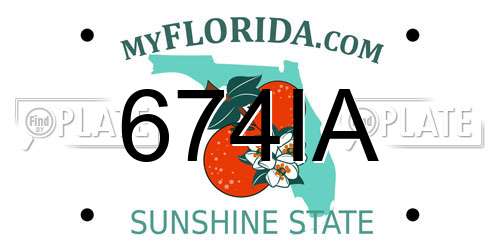 674IA Florida License Plate