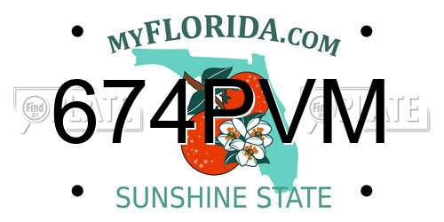 674PVM Florida License Plate