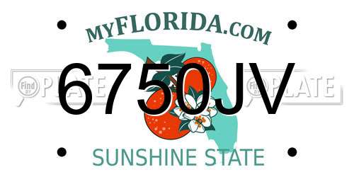 6750JV Florida License Plate