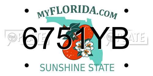 6751YB Florida License Plate