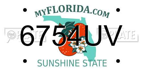 6754UV Florida License Plate