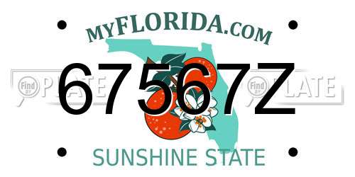 67567Z Florida License Plate