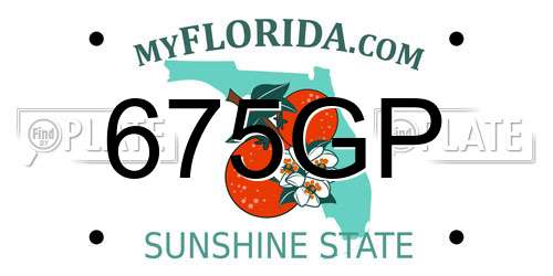 675GP Florida License Plate