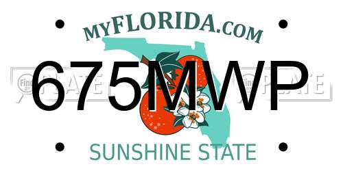 675MWP Florida License Plate