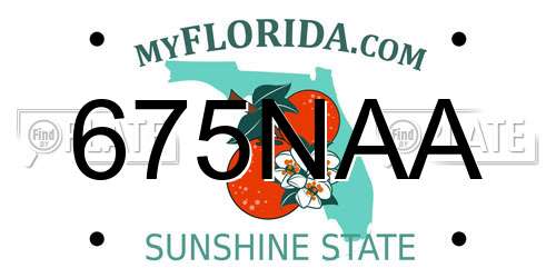 675NAA Florida License Plate