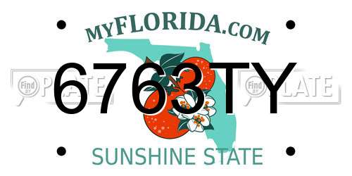 6763TY Florida License Plate