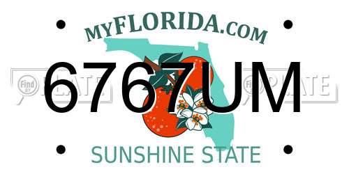 6767UM Florida License Plate