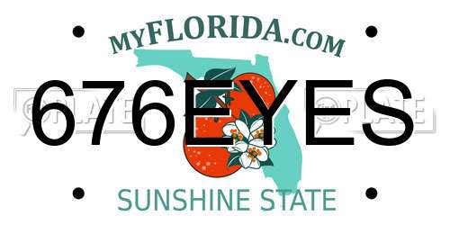 676EYES Florida License Plate