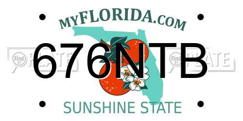 676NTB Florida License Plate