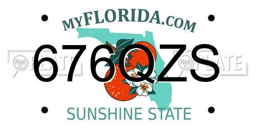 676QZS Florida License Plate