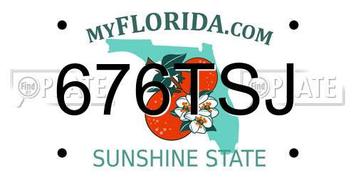 676TSJ Florida License Plate
