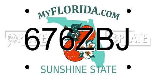 676ZBJ Florida License Plate