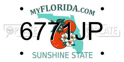 6771JP Florida License Plate