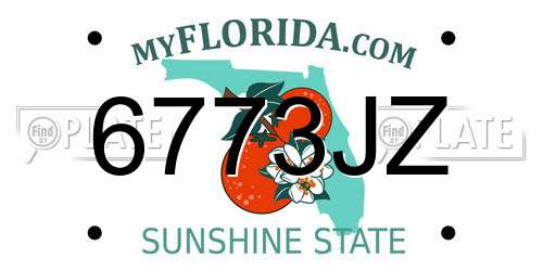 6773JZ Florida License Plate
