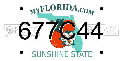 677C44 Florida License Plate