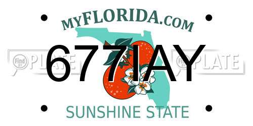 677IAY Florida License Plate