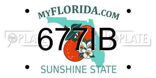 677IB Florida License Plate