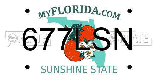 677LSN Florida License Plate