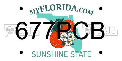 677PCB Florida License Plate