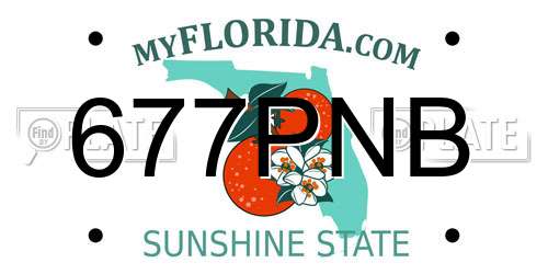 677PNB Florida License Plate
