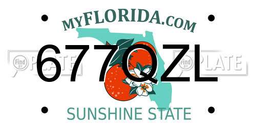 677QZL Florida License Plate