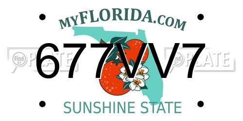 677VV7 Florida License Plate