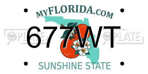 677WT Florida License Plate