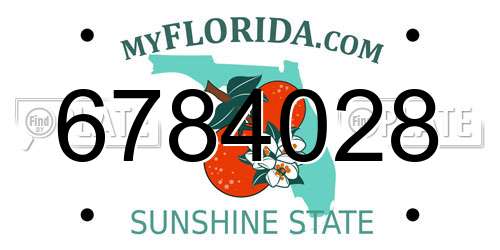 6784028 Florida License Plate