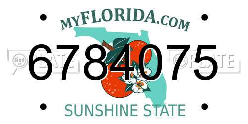 6784075 Florida License Plate