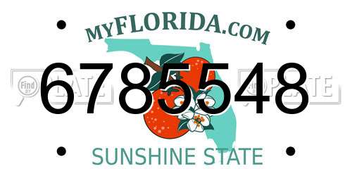 6785548 Florida License Plate