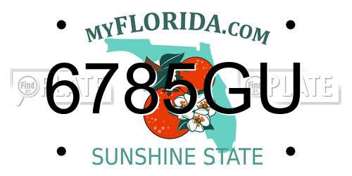 6785GU Florida License Plate