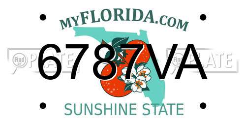 6787VA Florida License Plate
