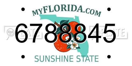 6788845 Florida License Plate