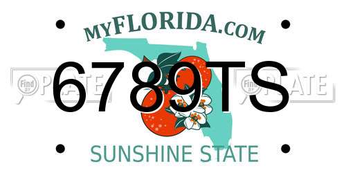 6789TS Florida License Plate