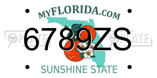 6789ZS Florida License Plate