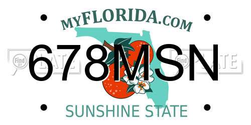 678MSN Florida License Plate