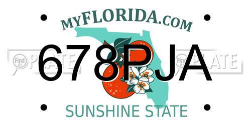678PJA Florida License Plate