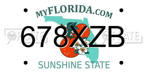 678XZB Florida License Plate