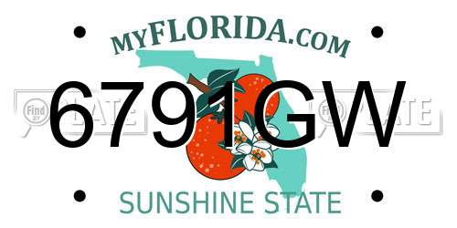 6791GW Florida License Plate