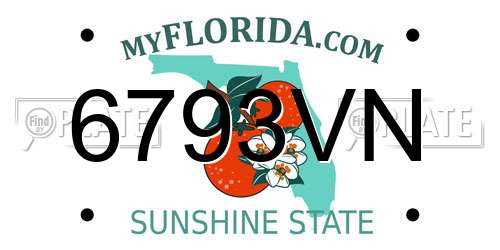 6793VN Florida License Plate