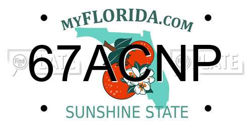 67ACNP Florida License Plate