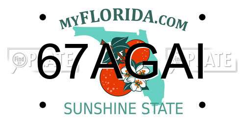 67AGAI Florida License Plate