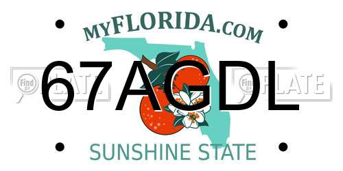 67AGDL Florida License Plate