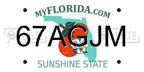 67AGJM Florida License Plate