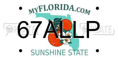 67ALLP Florida License Plate