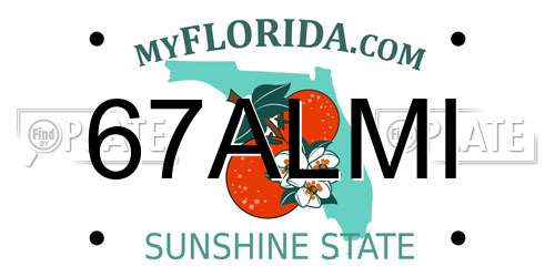 67ALMI Florida License Plate