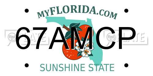 67AMCP Florida License Plate
