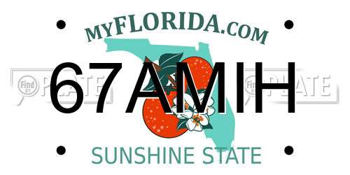 67AMIH Florida License Plate